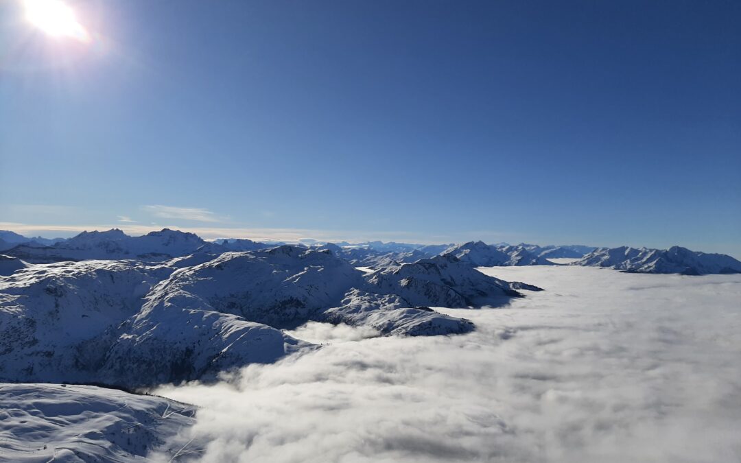 Vos experts en extraction, purification et transfert industriel vous souhaitent une très belle année 2026. Nous sommes à vos côtés pour vous partager nos savoir-faire en développement de procédés (2)