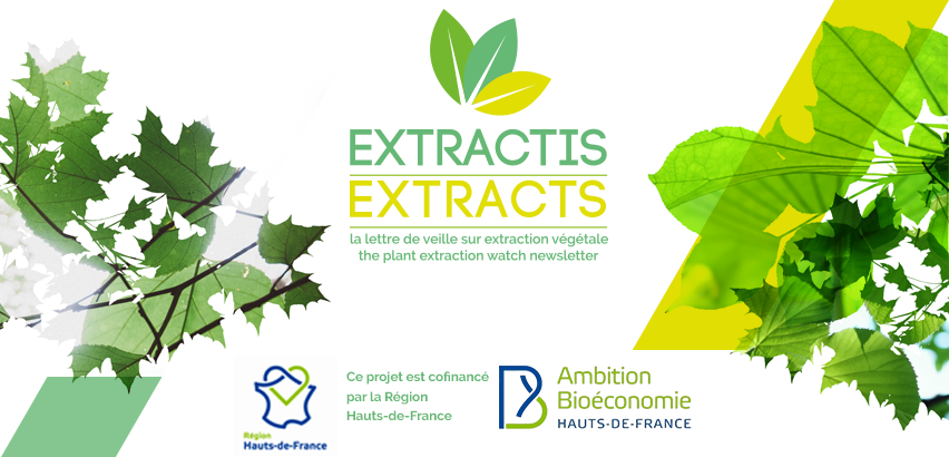 Lettre de veille janvier 2026